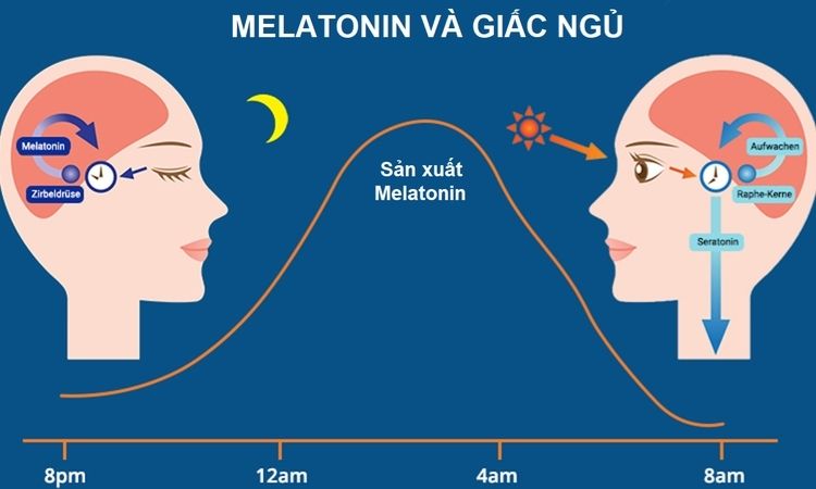 khi nào cần bổ sung melatonin