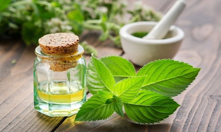 sử dụng thảo dược là một trong những cách trị mất ngủ cho người trẻ