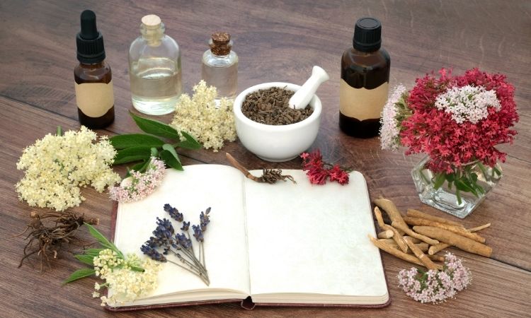 thảo dược trị mất ngủ